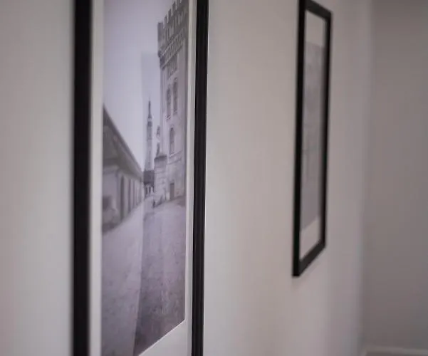 דירה Rynek 7 By Zywiecki**** Żywiec